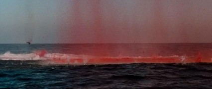 Кадр з фільму Глибоке синє море