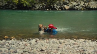 Кадр з фільму Макс 2: Герой Білого Дому