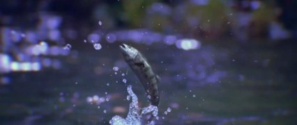 Кадр з фільму Шінобі: серце під лезом