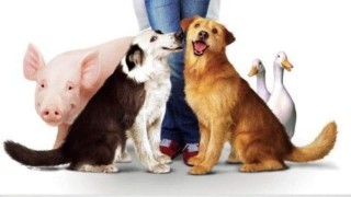 Кадр з фільму Доктор Дуліттл 3