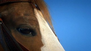 Кадр з фільму Ідальго