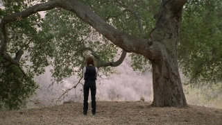 Кадр з фільму Захід сонця в прерії