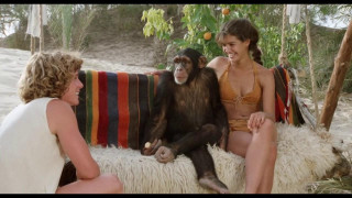 Кадр з фільму Рай