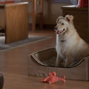 Кадр з фільму МакБрайд: Хто тут убивця Марті?