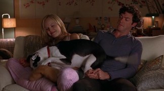 Кадр з фільму Собаче кохання