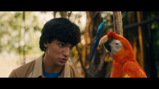 Кадр з фільму Дора в пошуках Соль Дорадо