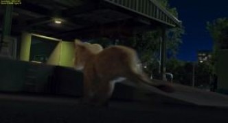 Кадр з фільму Дика природа