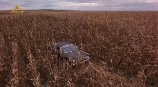 Кадр з фільму Далеко від дому