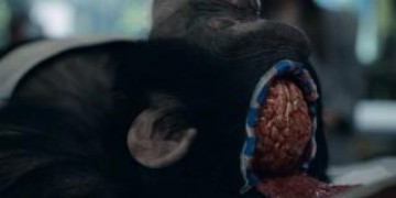 Кадр з фільму Не спати