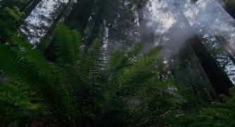 Кадр з фільму Мандрівка часу