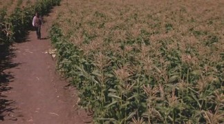 Кадр з фільму Діти кукурудзи 5: Поля страху