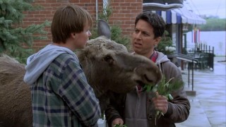 Кадр з фільму Вітаємо у Музпорті