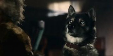 Кадр з фільму Тоґо