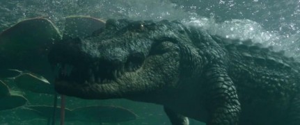 Кадр з фільму Хижаки