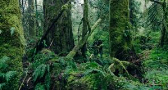 Кадр з фільму Не залишай слідів