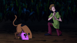 Кадр з фільму Прямо з Ніде: Скубі-Ду зустрічає Куража, полохливого собаку