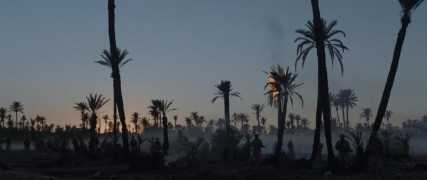 Кадр з фільму Жовті птахи