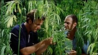 Кадр з фільму Ляммбок