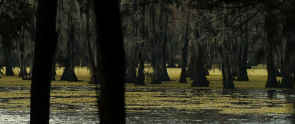Кадр з фільму Солом'яні пси