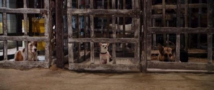 Кадр з фільму Крихітка з Беверлі-Гіллз