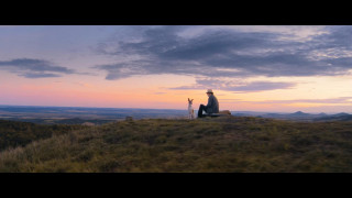 Кадр з фільму Ґамп: пес, який навчив людей жити