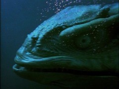 Кадр з фільму Геркулес і загублене королівство