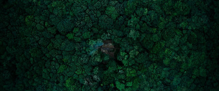 Кадр з фільму Анемона