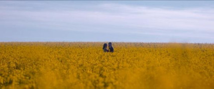 Кадр з фільму Шалено закохані