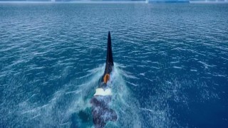 Кадр з фільму Норм та нестримні. Велика пригода