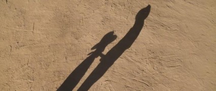 Кадр з фільму Мільйон способів втратити голову