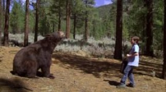 Кадр з фільму Загублені у лісі