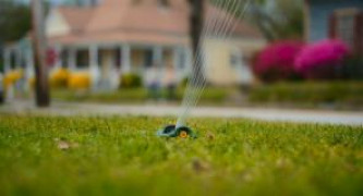 Кадр з фільму Повстання штатів