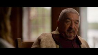 Кадр з фільму Вовк і лев