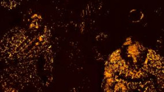 Кадр з фільму Жива темрява: «Історія спелеолога Теда»