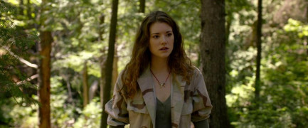 Кадр з фільму Вовк і лев