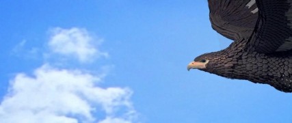 Кадр з фільму Академія магії