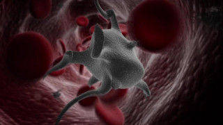 Кадр з фільму Пандемія