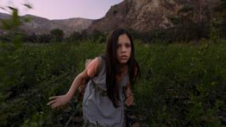 Кадр з фільму Втеча з Фіоною