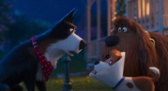 Кадр з фільму Секрети домашніх тварин 2