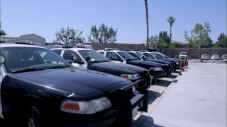 Кадр з фільму Зої та Макс