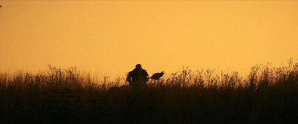 Кадр з фільму Токсичний месник