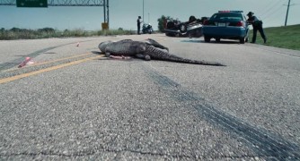 Кадр з фільму Поганий лейтенант