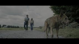 Кадр з фільму Кладовище домашніх тварин: Криваві сліди