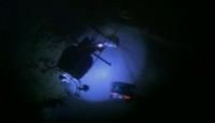 Кадр з фільму Проект Гадюка