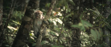 Кадр з фільму Край світу