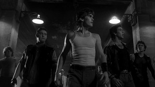 Кадр з фільму Бійцівська рибка