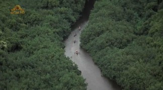 Кадр з фільму Гавайці