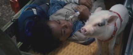 Кадр з фільму Шалена подорож