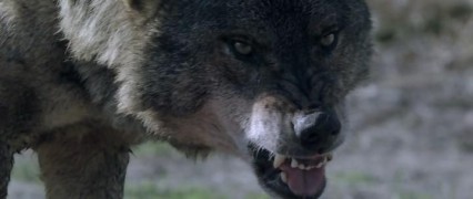 Кадр з фільму Брук