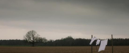 Кадр з фільму Хижа ніч